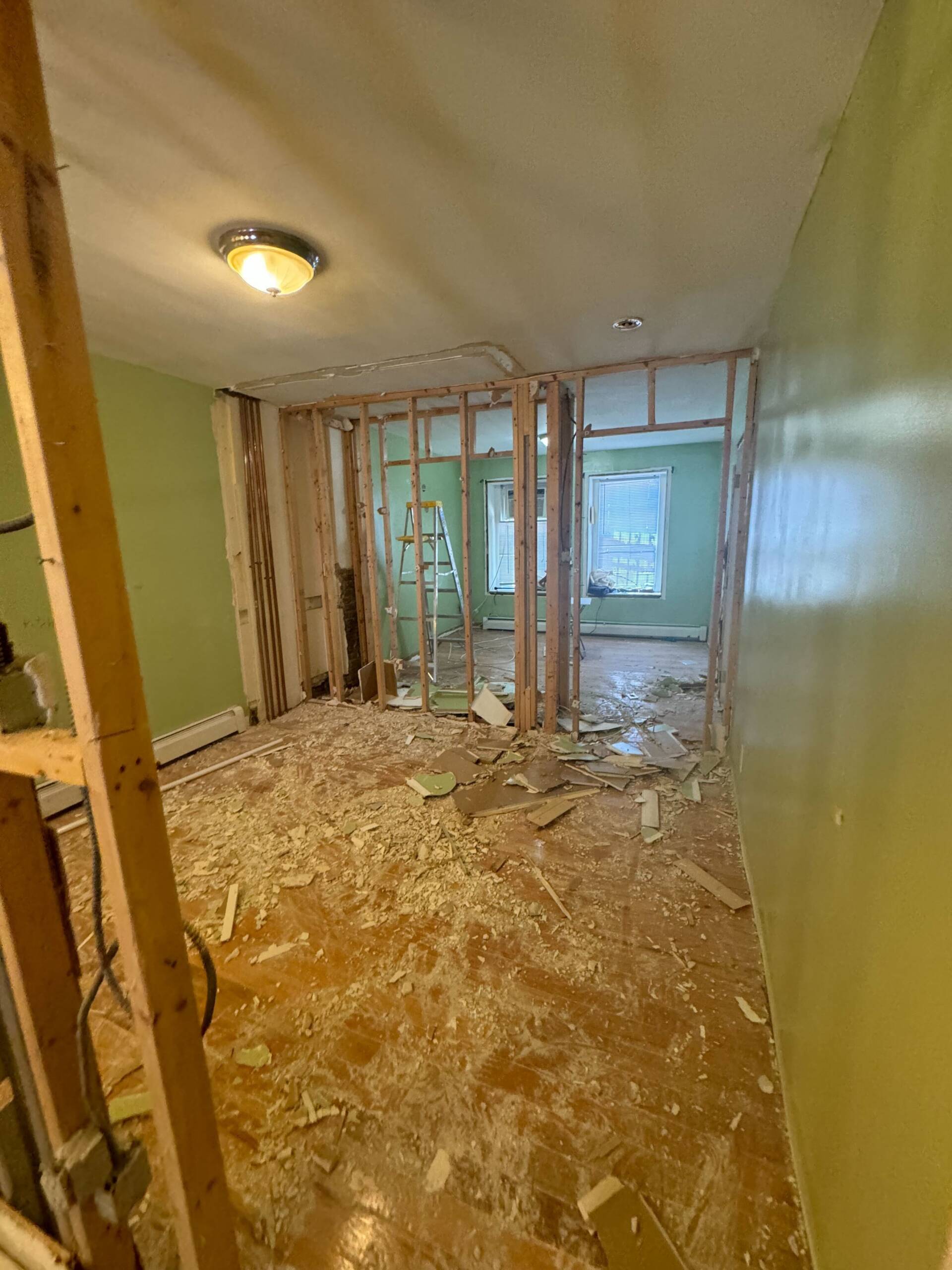 DIY vs. Professional Basement Remodeling