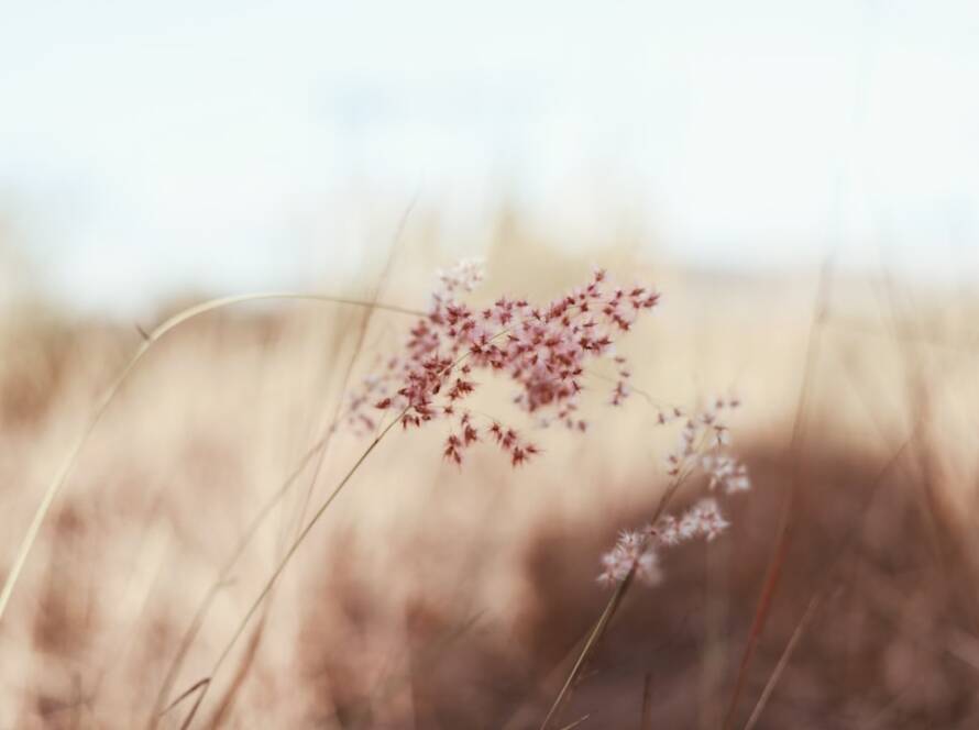 Bathroom Color Scheme Ideas Brooklyn: How to Get the Most ROI from Your Remodel in Brooklyn