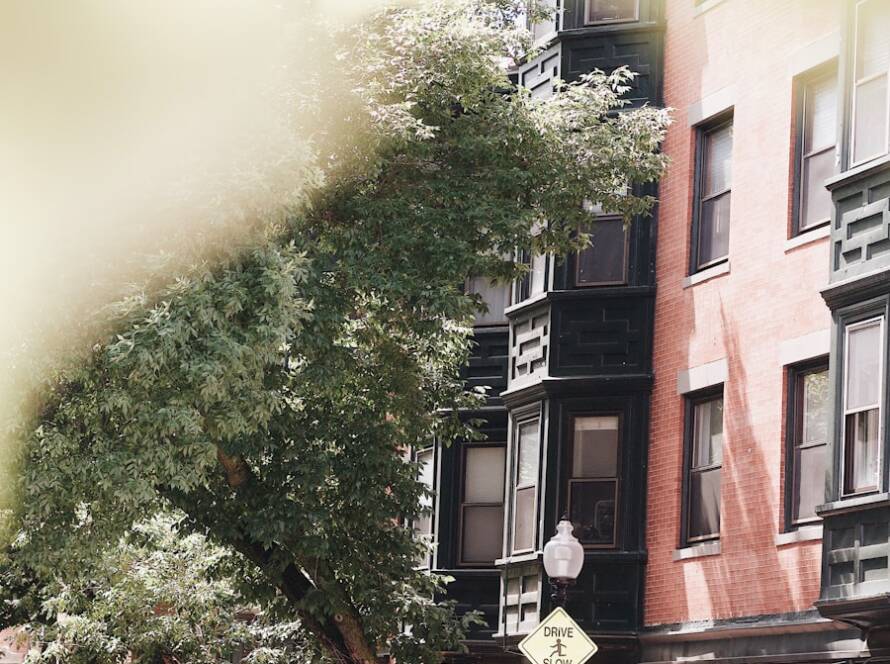 Brooklyn Townhouse New Construction: Planning the Perfect Townhouse Layout in Brooklyn
