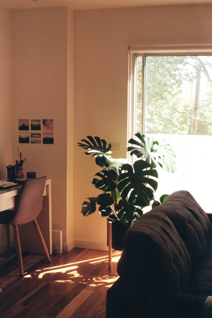 Design-Build New Home Brooklyn: Eco-Friendly Features to Include in Your New Home