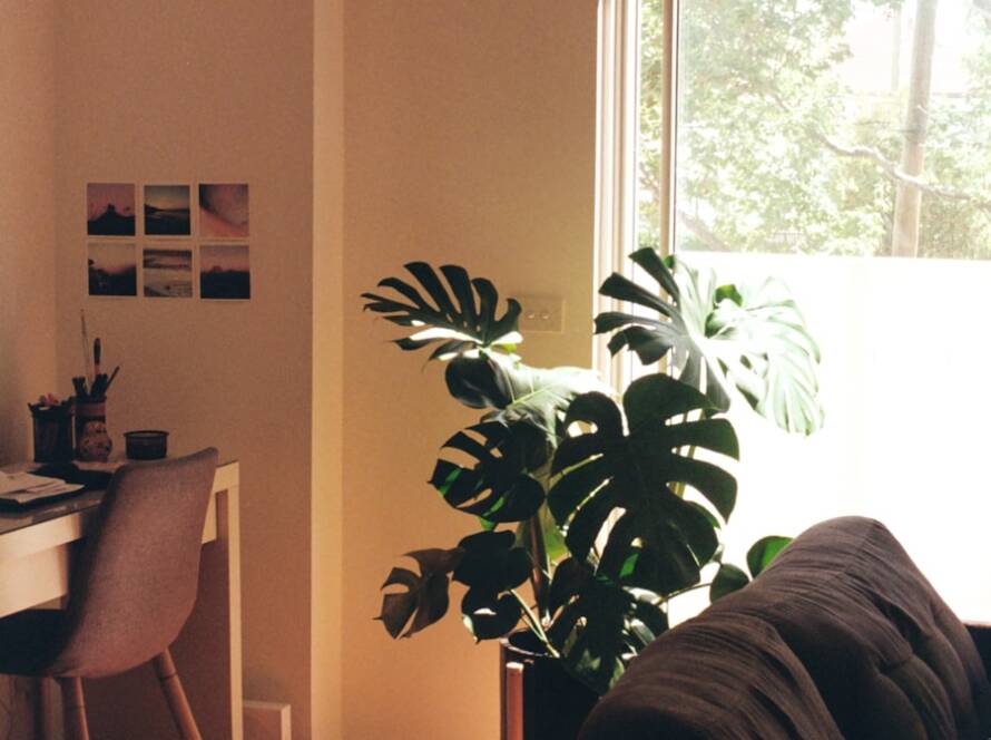 Design-Build New Home Brooklyn: Eco-Friendly Features to Include in Your New Home
