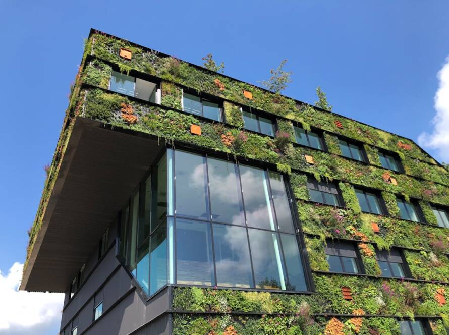 Before and After: Stunning Eco-Friendly Gut Renovation In Brooklyn Transformations