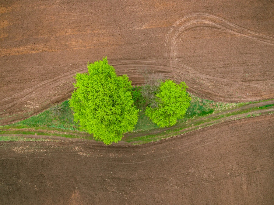 Why Eco-Friendly Gut Renovation In Brooklyn is Worth the Investment 1 Eco-Friendly Gut Renovation