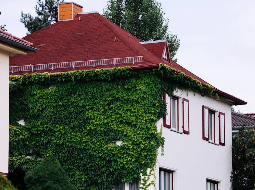 Why Eco-Friendly Gut Renovation In Brooklyn is Worth the Investment