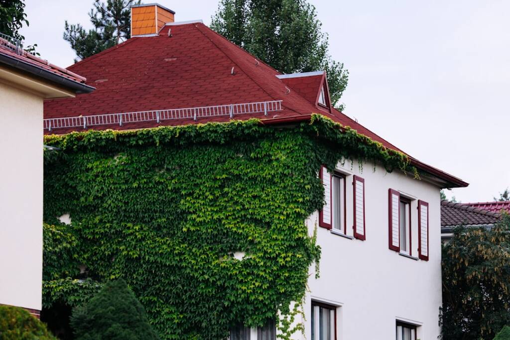 How Much Does a Eco-Friendly Gut Renovation In Brooklyn Cost? 2 How Much Does a Eco-Friendly Gut Renovation In Brooklyn Cost?