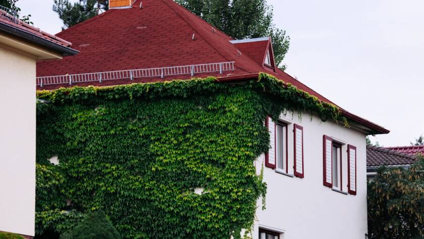 How Much Does a Eco-Friendly Gut Renovation In Brooklyn Cost?