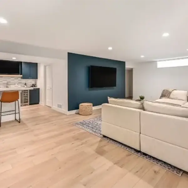 basement esgbuilder